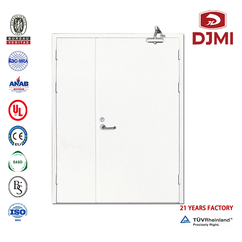 High Quality Armored Door Steel Fire Rated Doors Supplier Customized Australia Fireproof And Soundproof Rated Myanmar Steel Fire Door New Settings Swing Rate 30 60 90Mins Security Proof Certificated Fire Rated Steel With Pet Door
